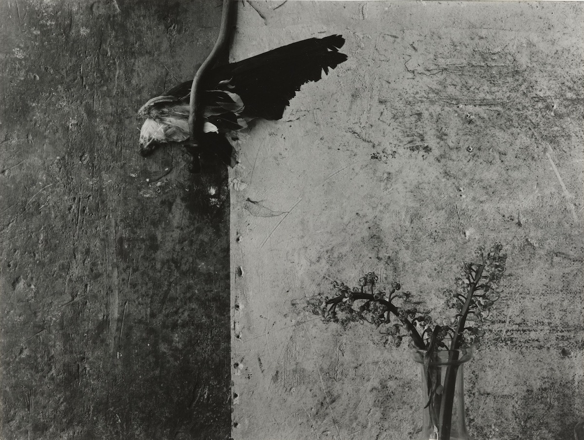 Guy Bourdin Post Image 4