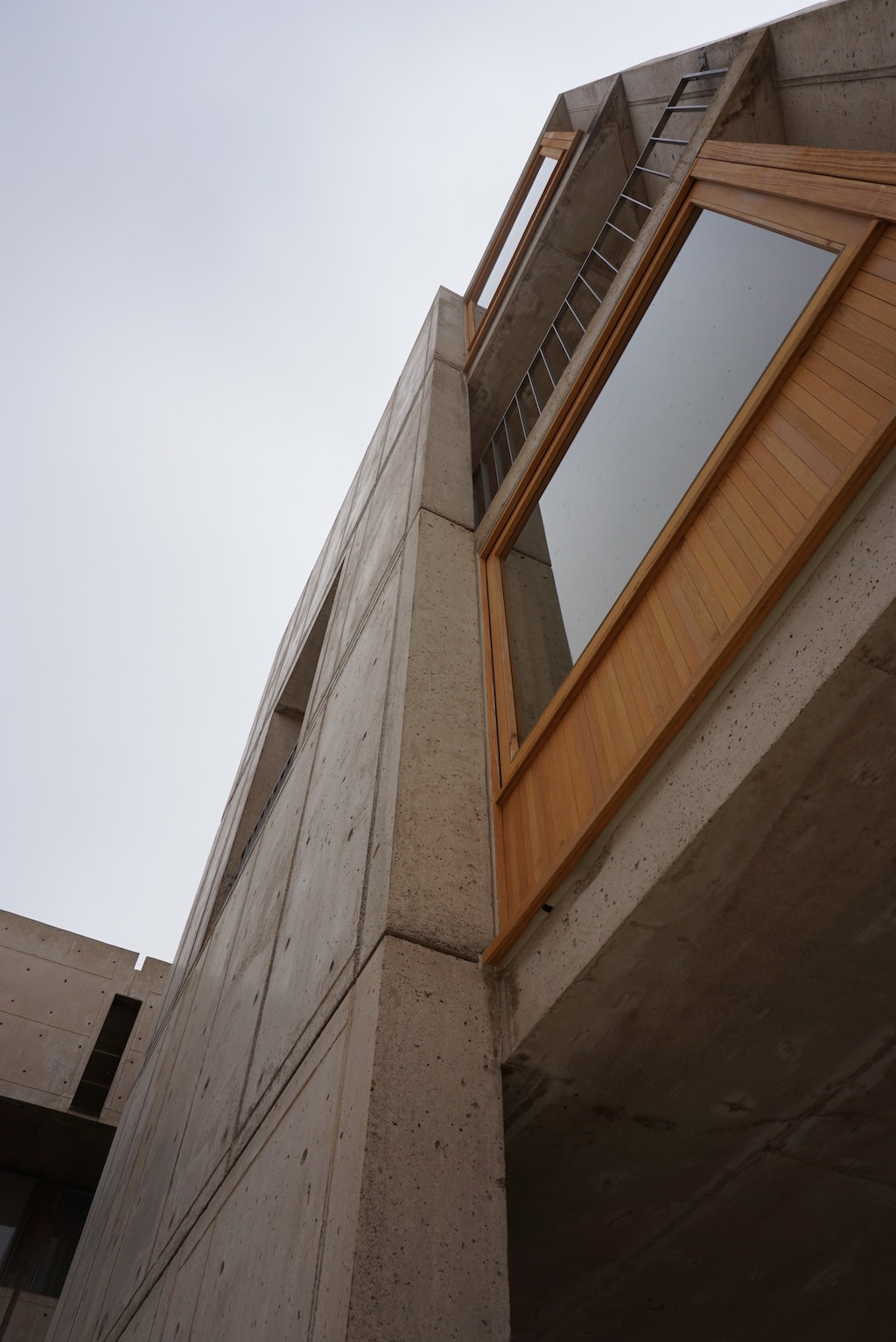 Salk Institute Post Image 5