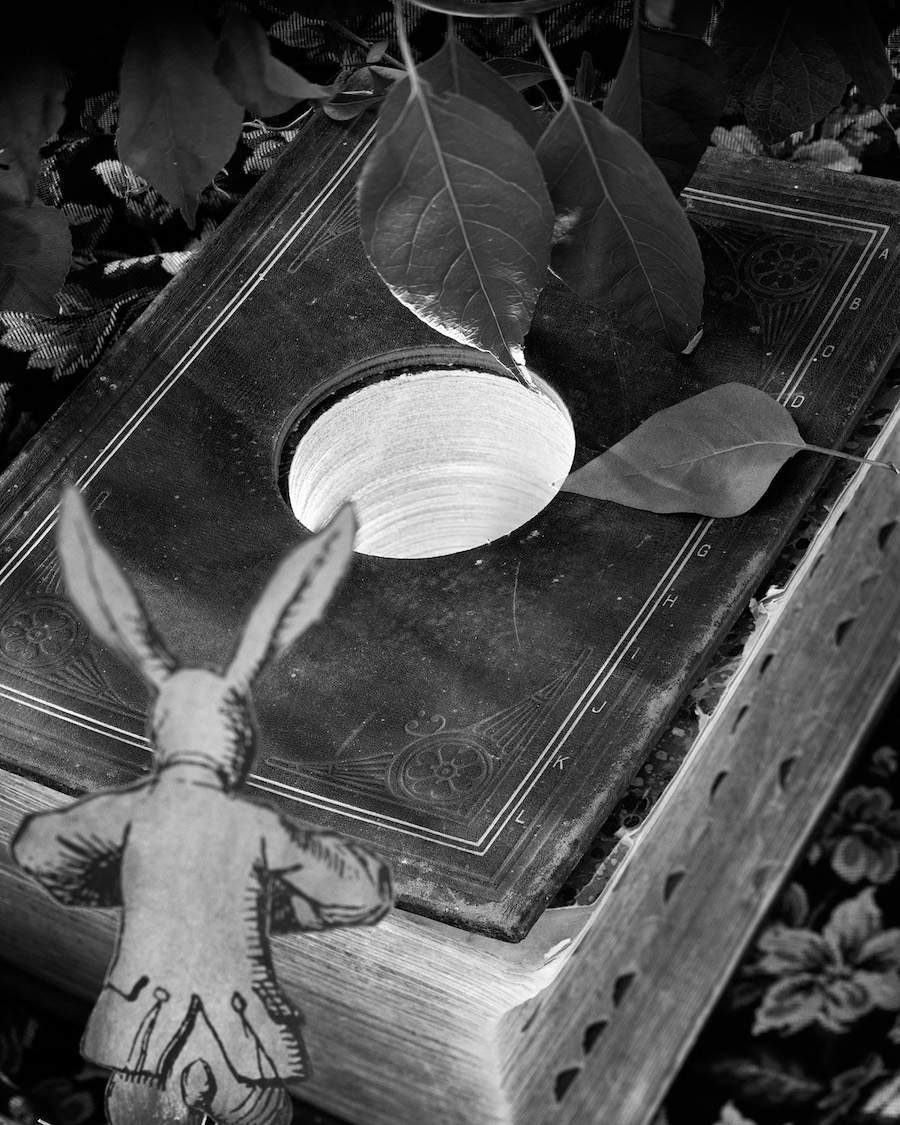 Alice in Wonderland by Abelardo Morell Post Image 4