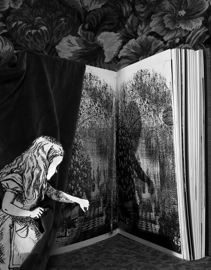 Alice in Wonderland by Abelardo Morell Post Image 5