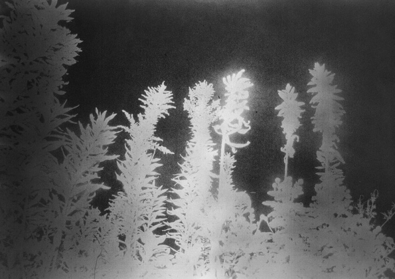 Daisuke Yokota Post Image 1