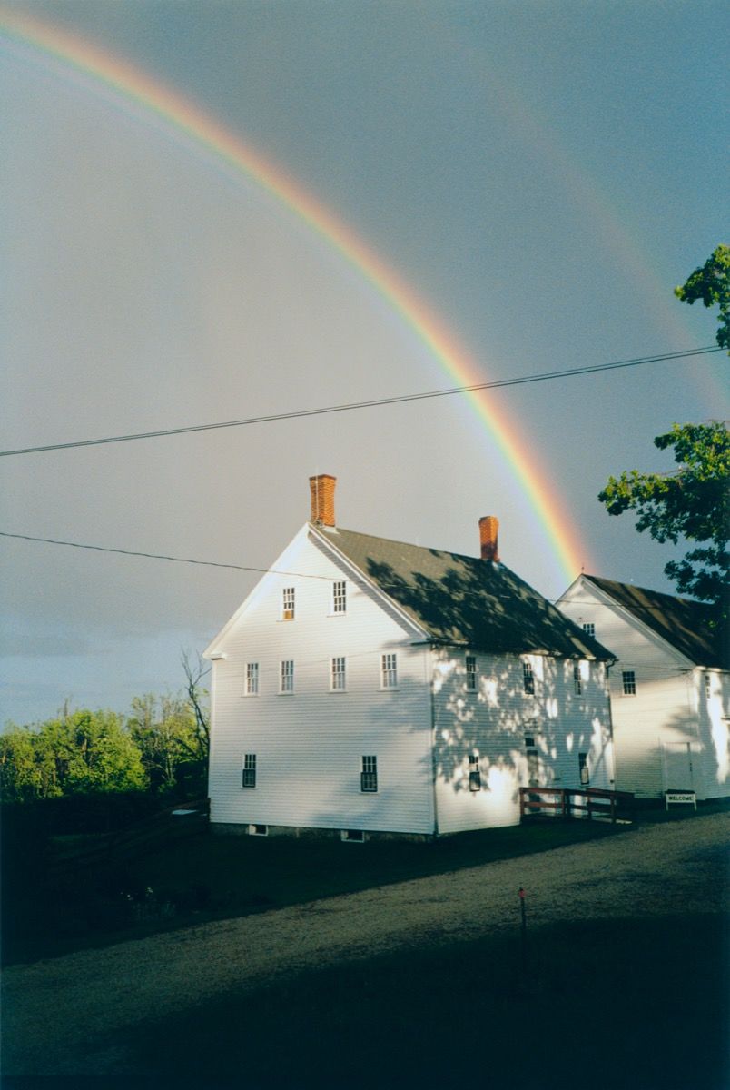 Wolfgang Tillmans Post Image 2