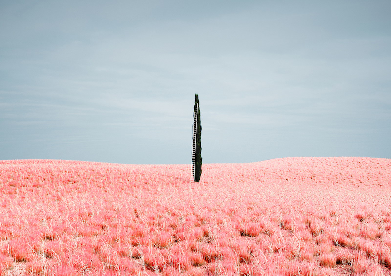 Isolation by Massimo Colonna Post Image 2