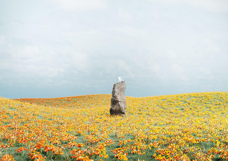 Isolation by Massimo Colonna